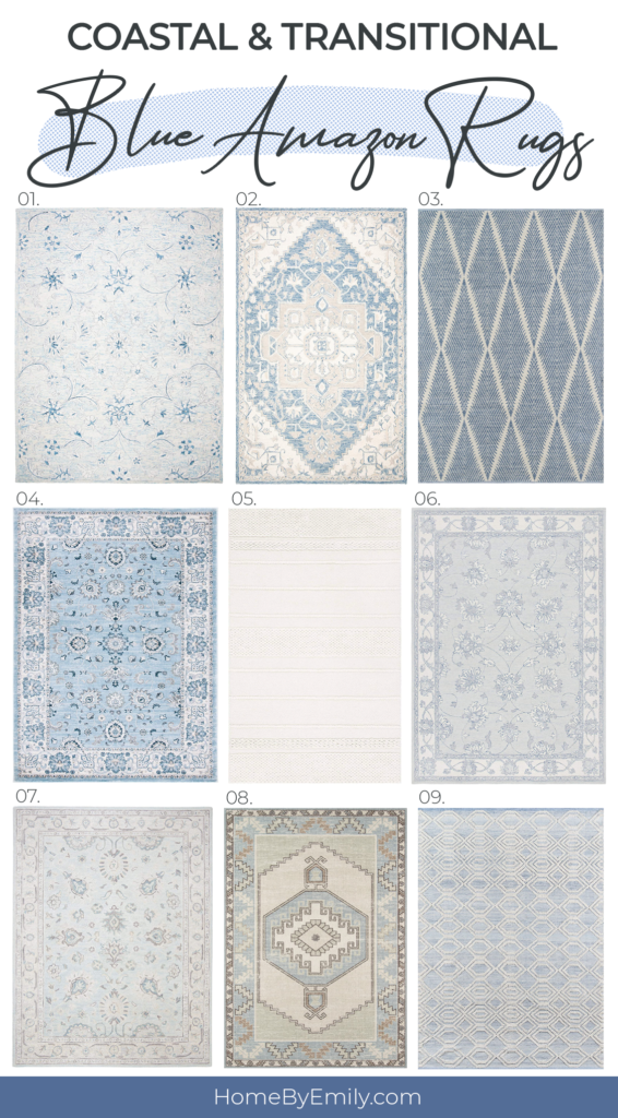 Coastal Amazon Rugs Home By Emily   Blue Amazon Rugs 1 566x1024 